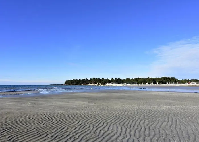 Alpa3 By Interhome * Umag